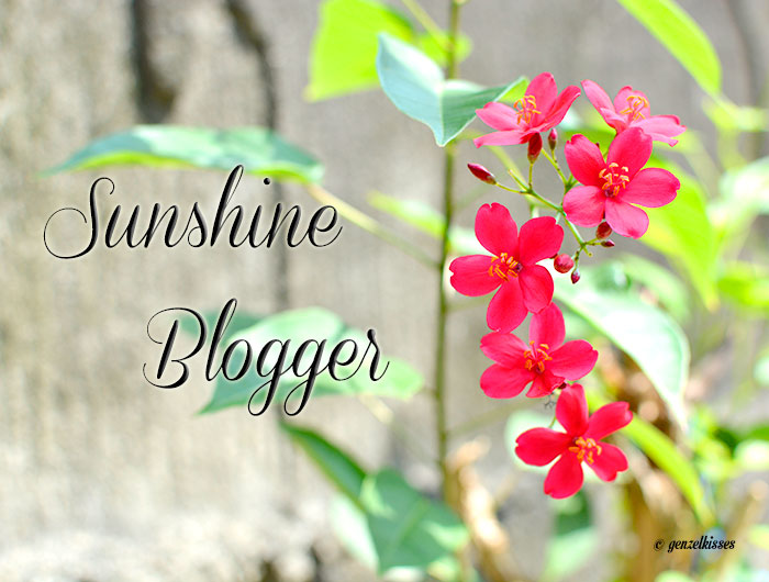 The Sunshine Blogger and Sisterhood of the World Blogger Awards